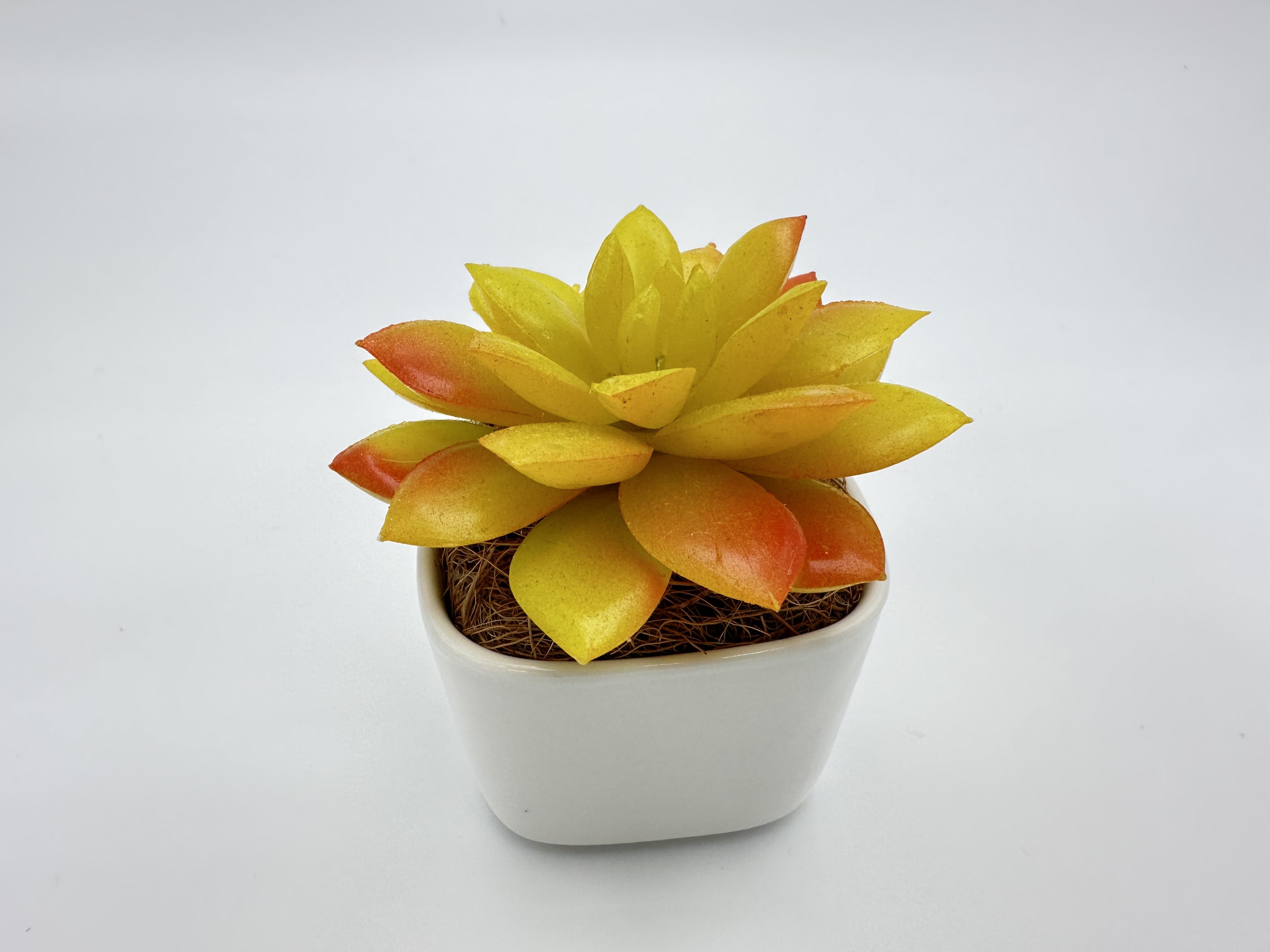 擬真植物擺設/拍攝道具